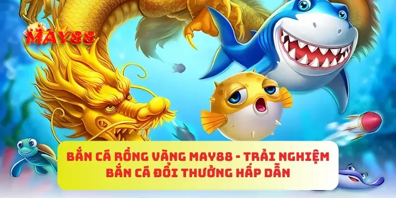 Bắn Cá Rồng Vàng MAY88 - Trải Nghiệm Bắn Cá Đổi Thưởng Hấp Dẫn 4 Bắn Cá Rồng Vàng MAY88 - Trải Nghiệm Bắn Cá Đổi Thưởng Hấp Dẫn